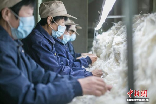 海纳策略 从毛绒原料仓到高端制造中心 榆林羊绒毛产业何以实现华丽转身