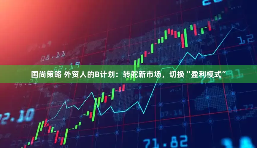 国尚策略 外贸人的B计划：转舵新市场，切换“盈利模式”