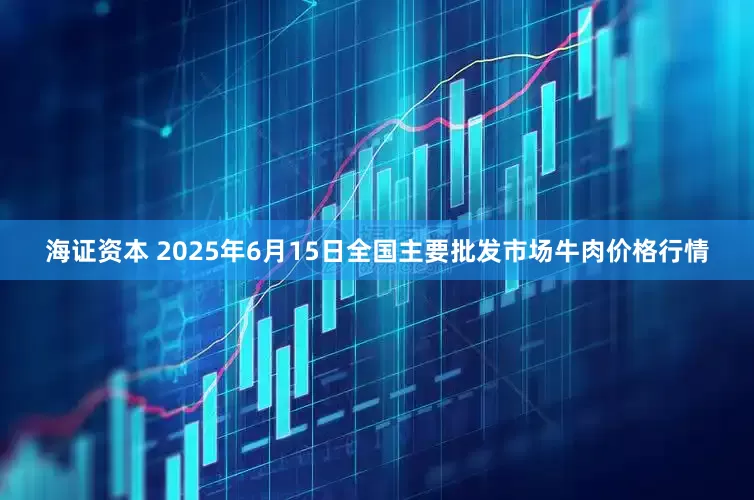 海证资本 2025年6月15日全国主要批发市场牛肉价格行情