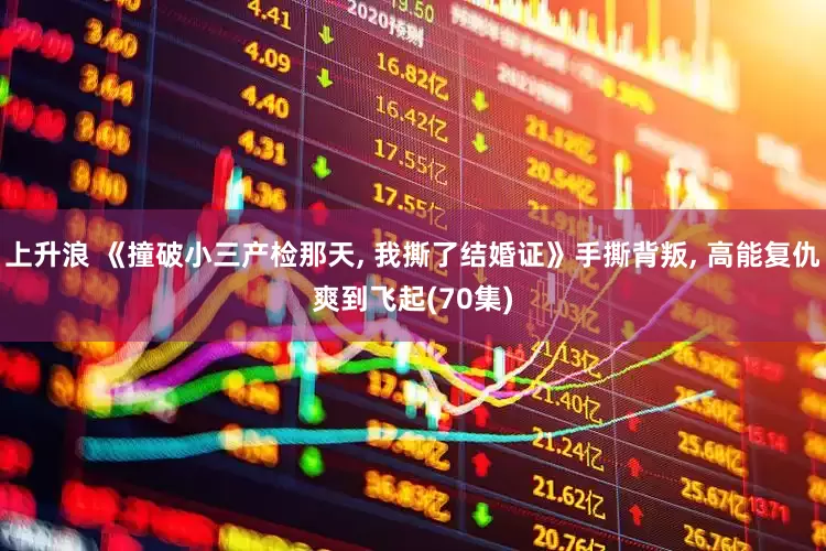 上升浪 《撞破小三产检那天, 我撕了结婚证》手撕背叛, 高能复仇爽到飞起(70集)